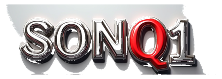 sonq1 logo